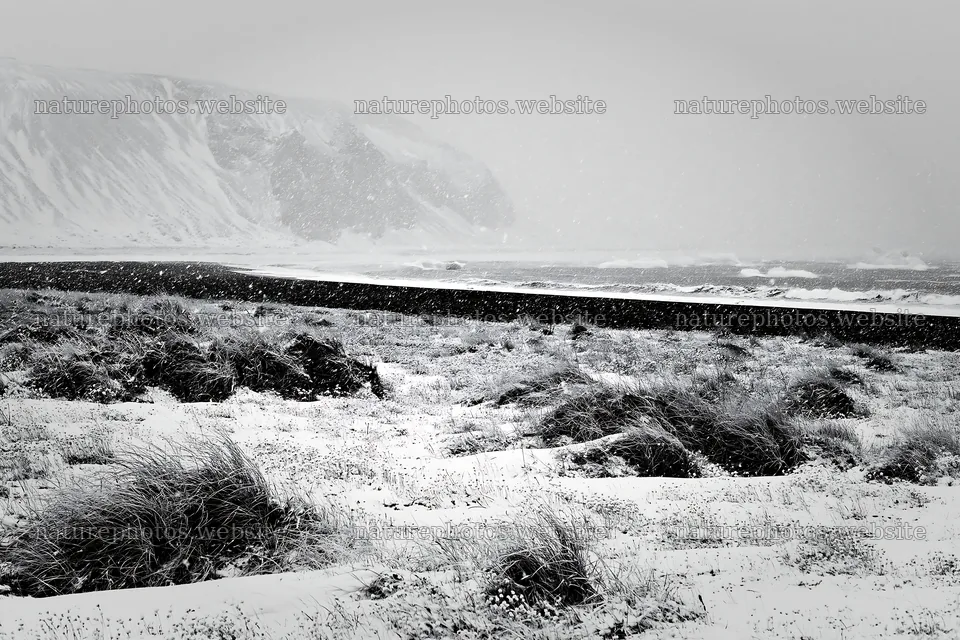 Snowy beach meadow with wind and waves in a winter scene – nature photos 9722x6480