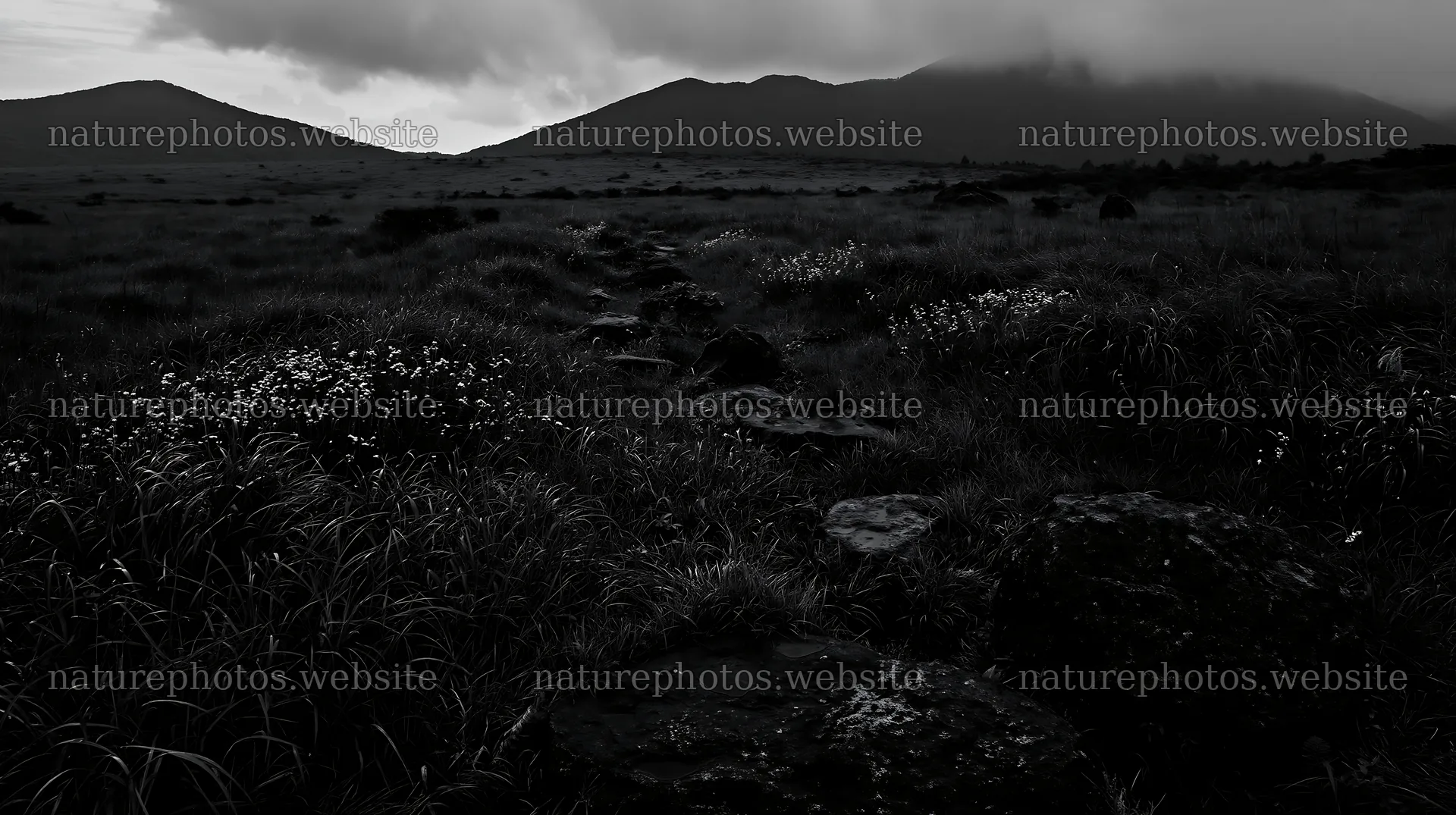 Oita highland meadow with granite stones at dusk – nature photos 10608x5938