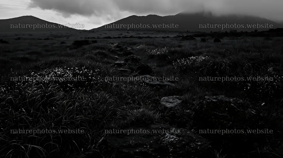 Oita highland meadow with granite stones at dusk – nature photos 10608x5938