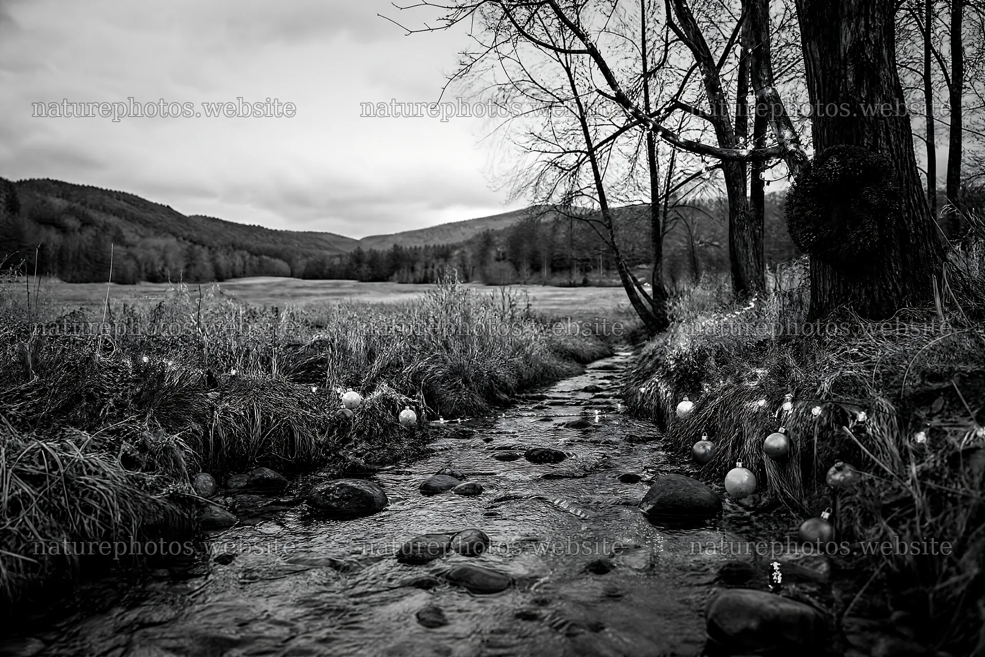 Christmas ornaments along stream in meadow – nature photos 9722x6480