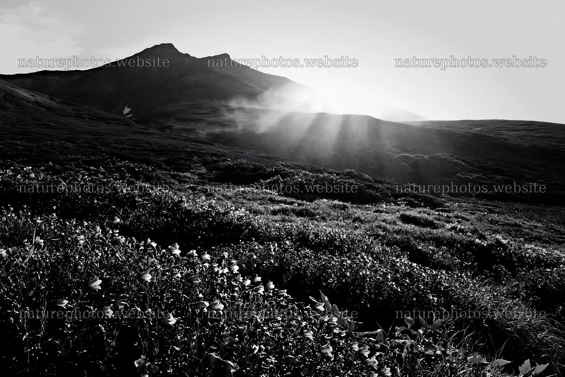Daisetsuzan alpine meadow light rays create a beautiful scene – nature photos 9722x6480