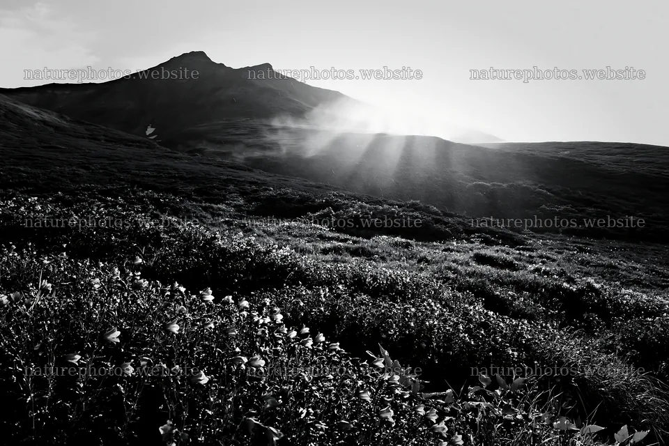 Daisetsuzan alpine meadow light rays create a beautiful scene – nature photos 9722x6480