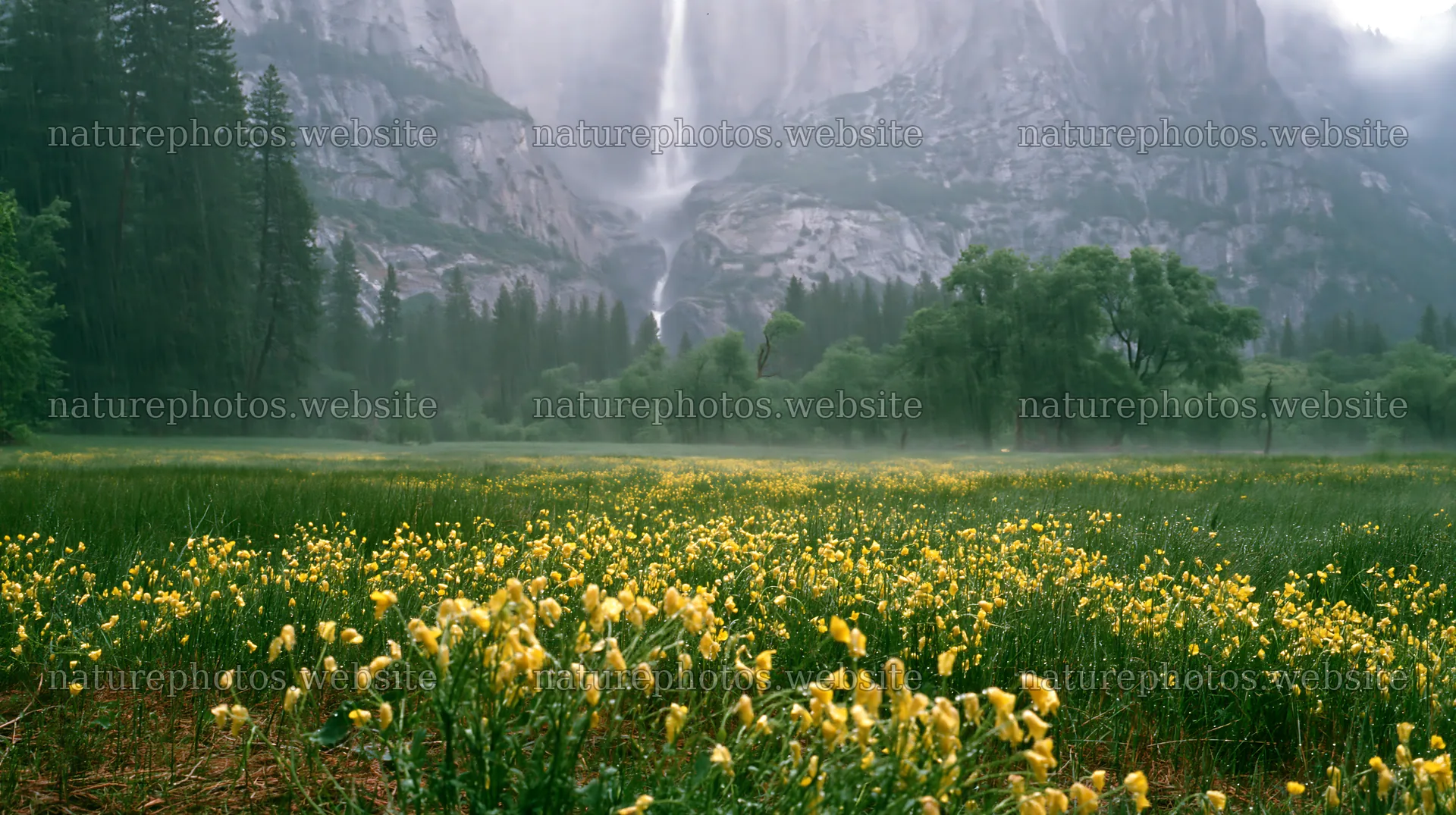 Cascade valley flower meadow with mountains and waterfall – nature photos 10608x5938