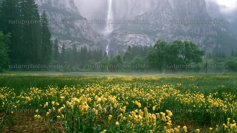Cascade valley flower meadow with mountains and waterfall – nature photos 10608x5938