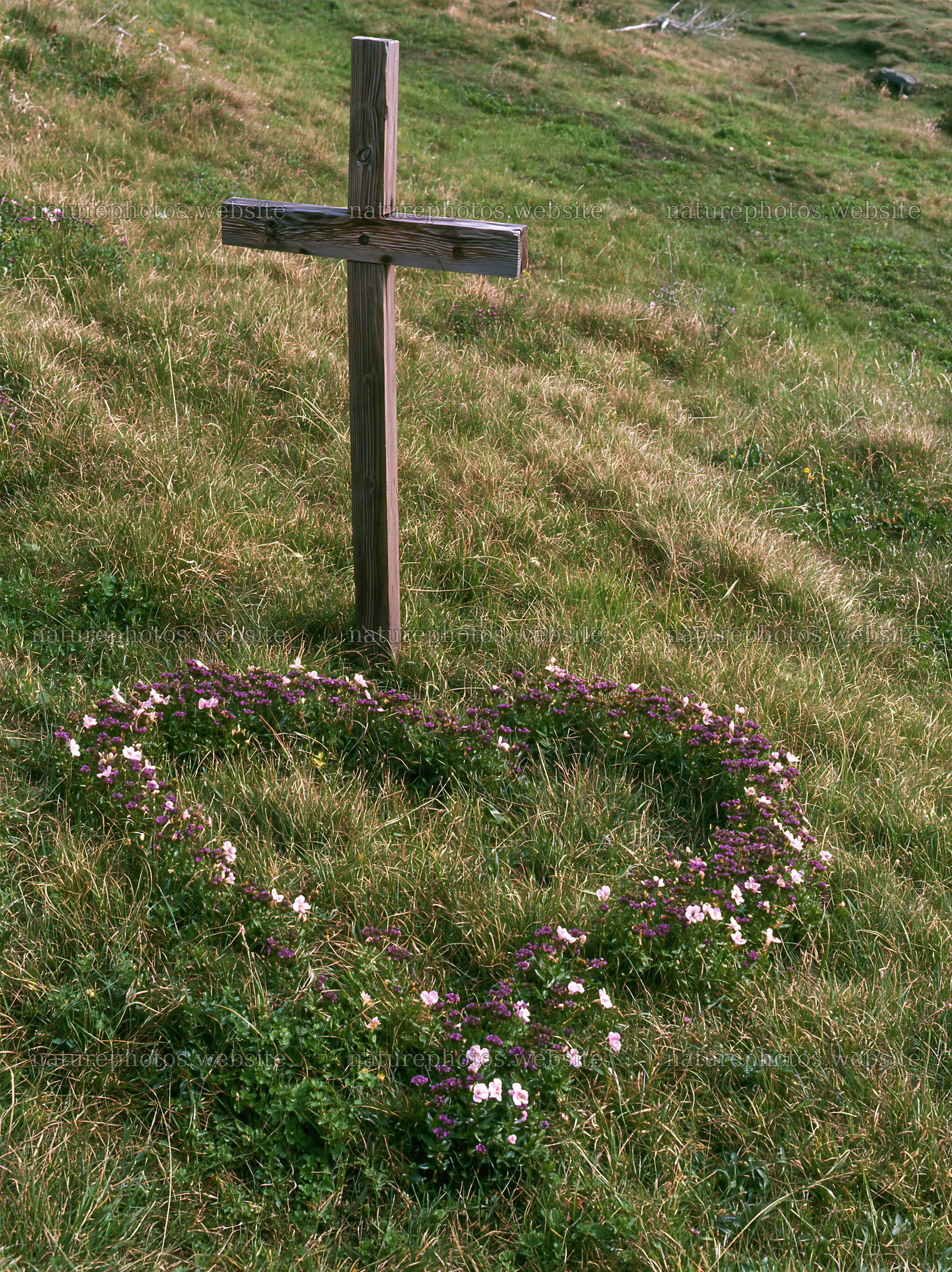 Wooden Christian cross in a meadow surrounded by flowers – nature photos 6866x9174