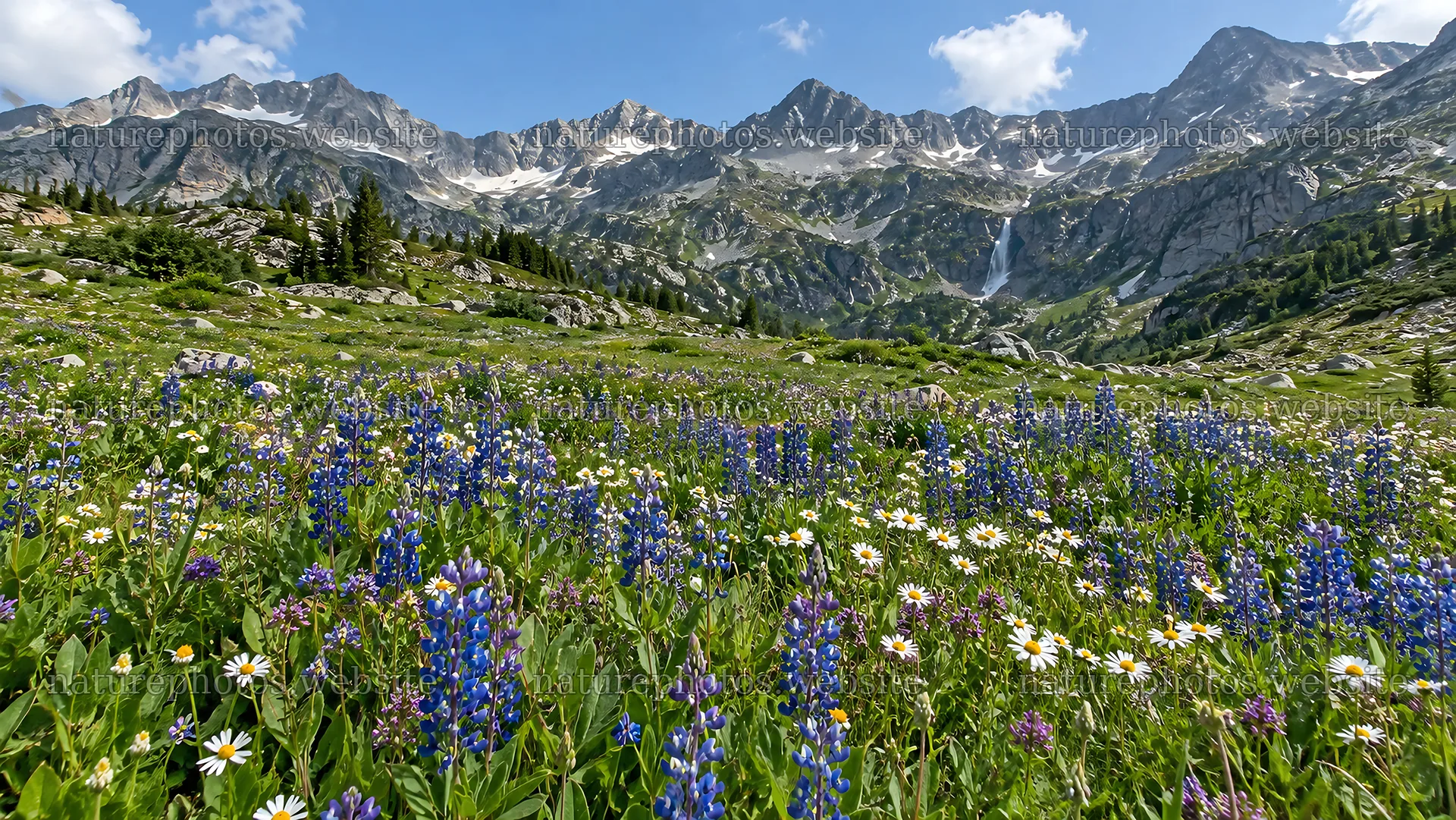 Wildflower Meadow Beneath Snowy Mountain Peaks – nature photos 10324x5812
