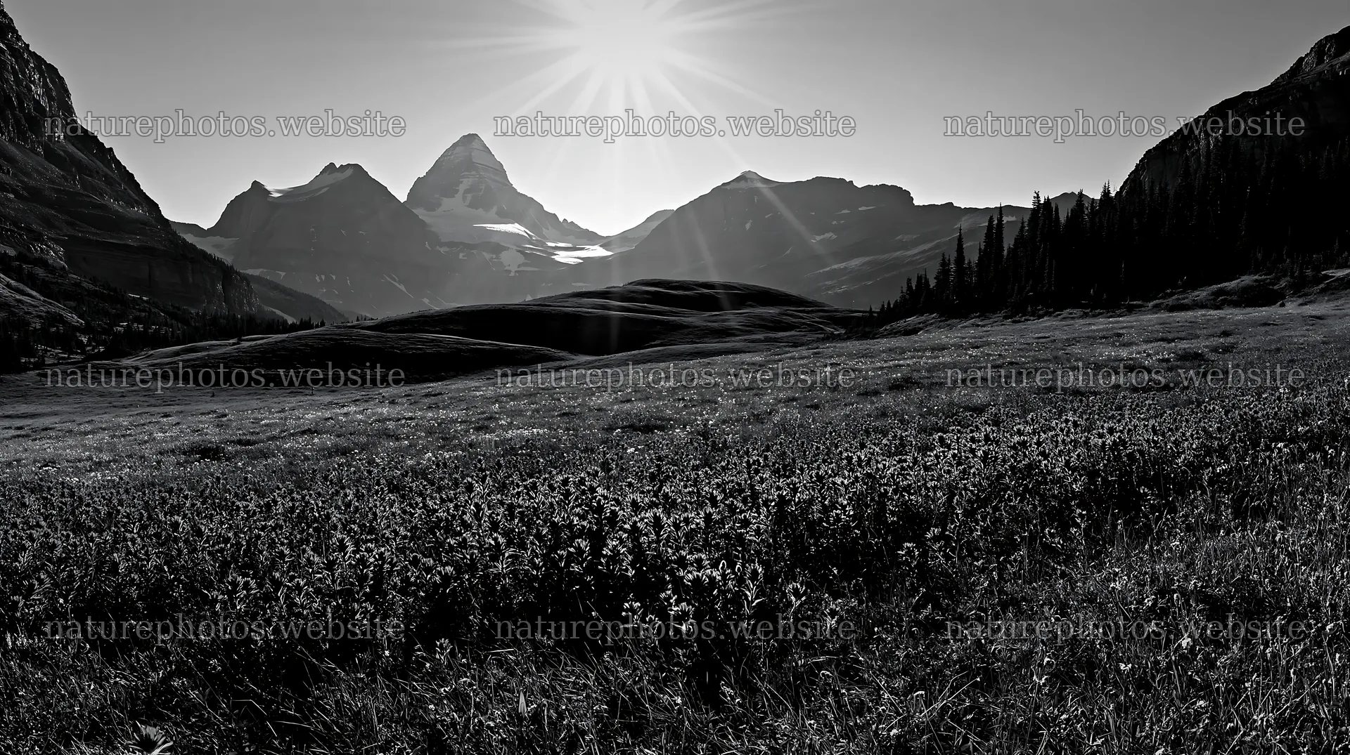 Sunshine rays over meadows in Banff National Park – nature photos 10608x5938