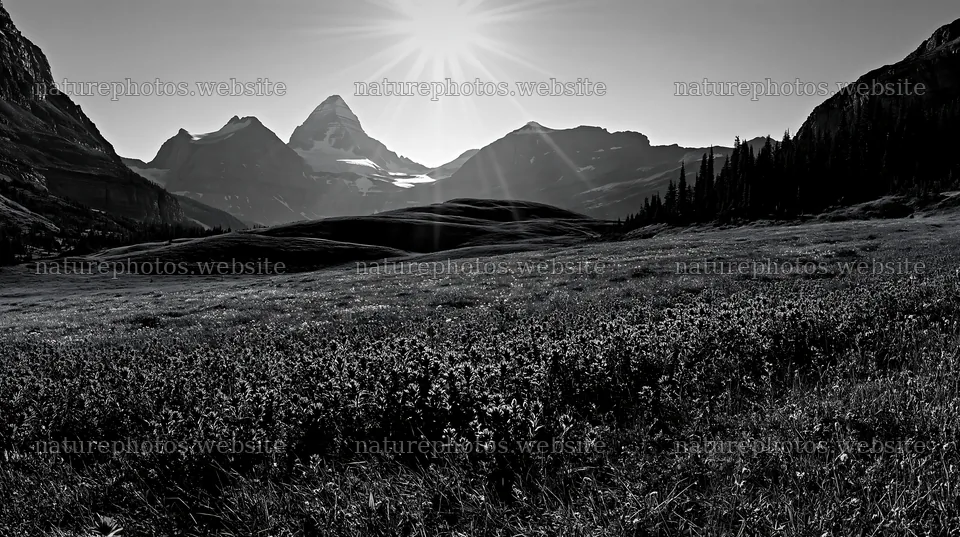 Sunshine rays over meadows in Banff National Park – nature photos 10608x5938
