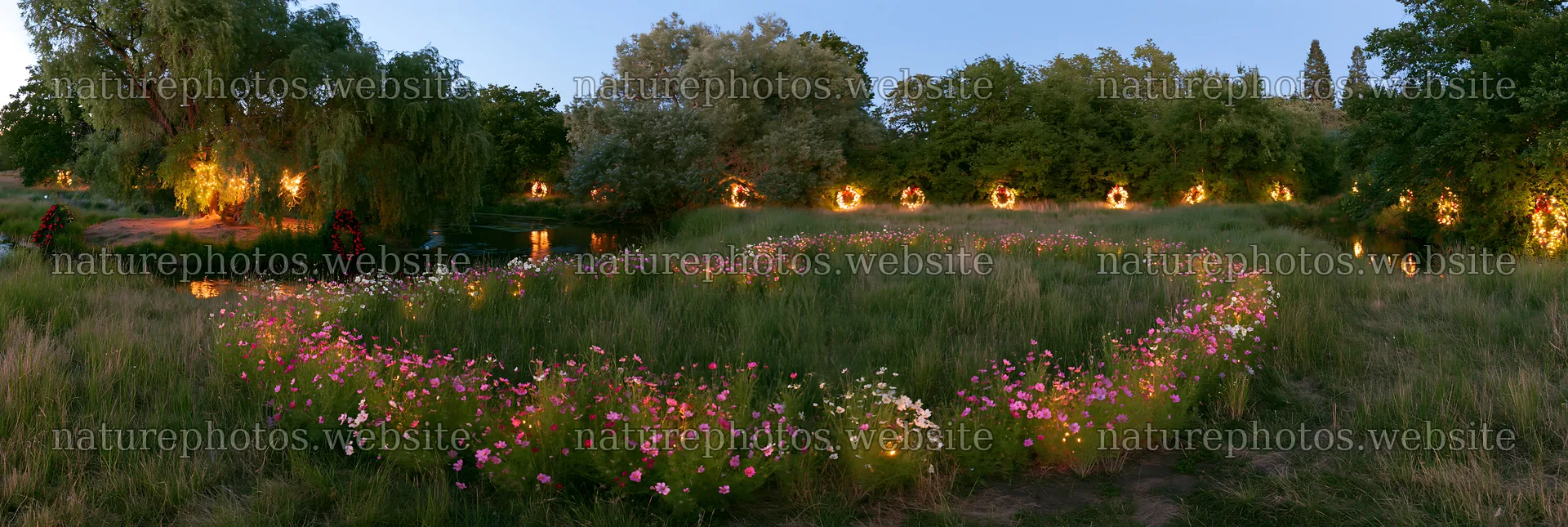 Christmas wreaths beside stream in meadow – nature photos 13690x4602
