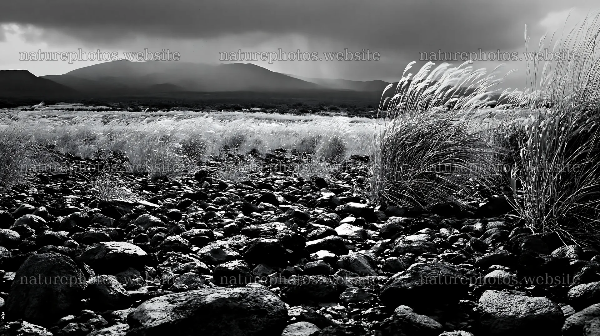 Kagoshima volcanic meadow with pumice stones and grass – nature photos 10608x5938