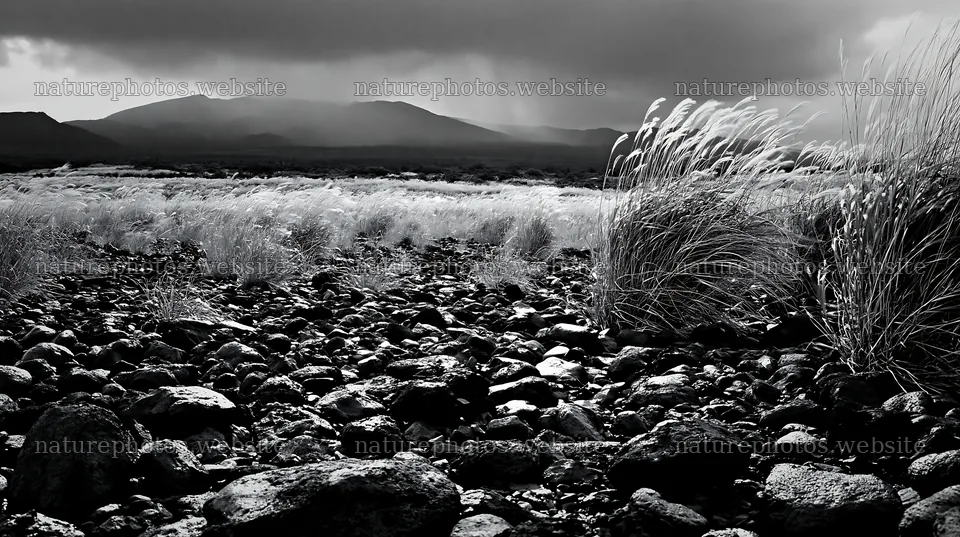 Kagoshima volcanic meadow with pumice stones and grass – nature photos 10608x5938