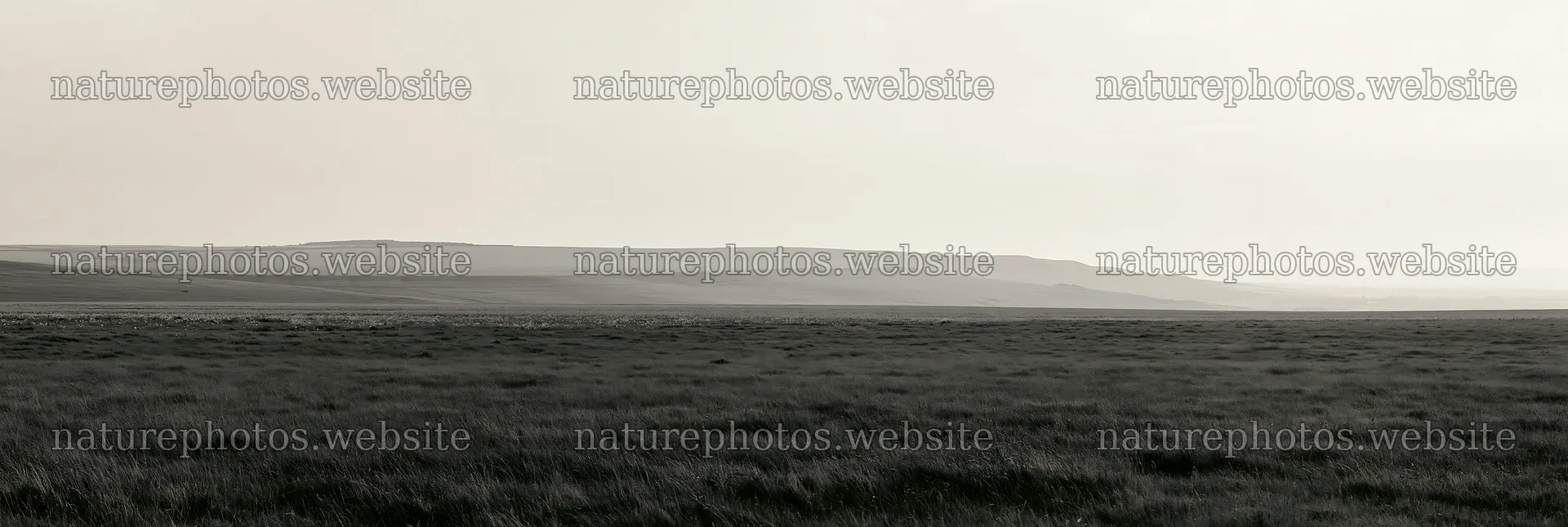 Cloudy limestone meadow at dawn with distant hills – nature photos 13690x4602