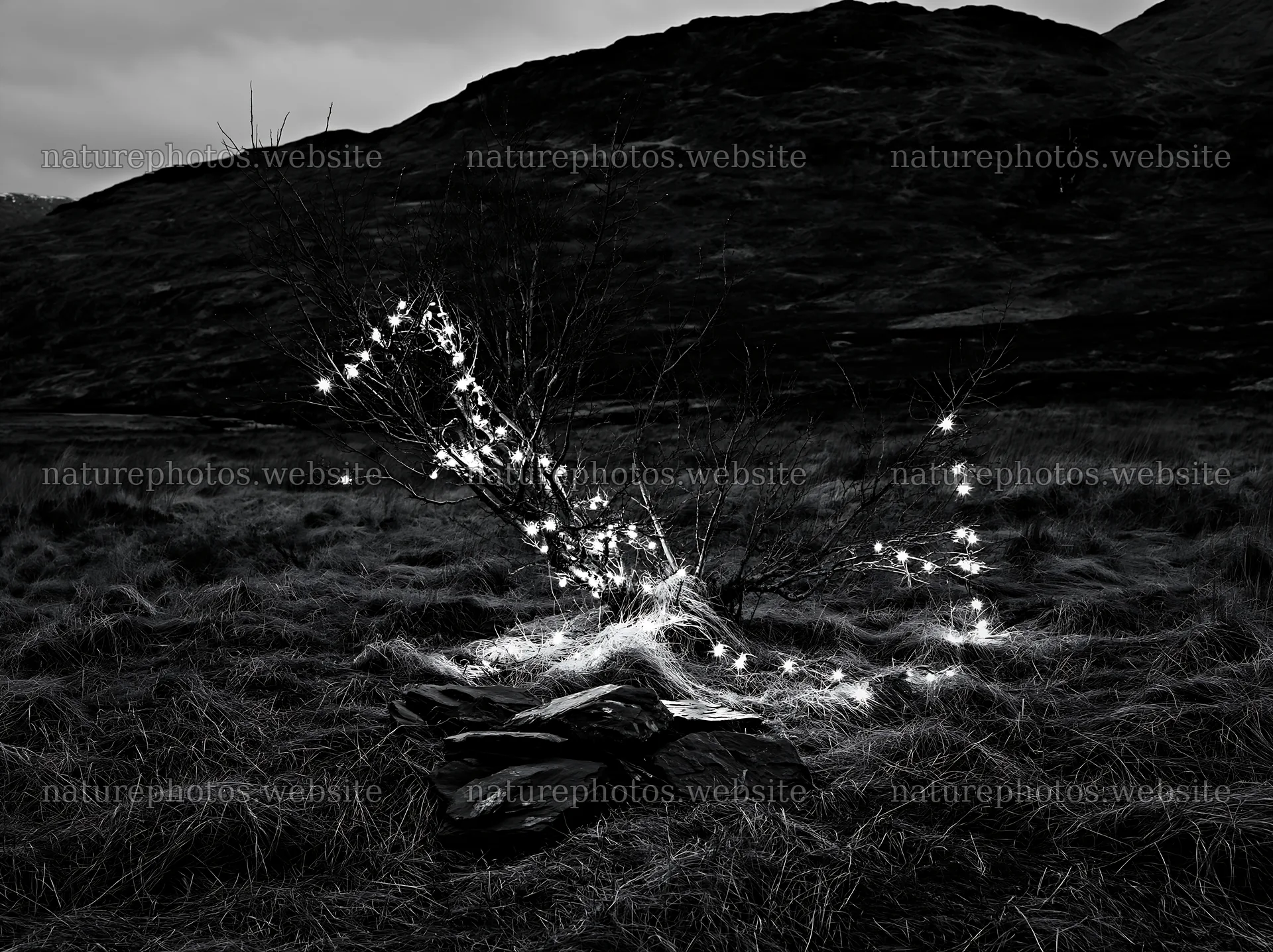 Expansive meadow with lights and stones during winter recovery – nature photos 9174x6866