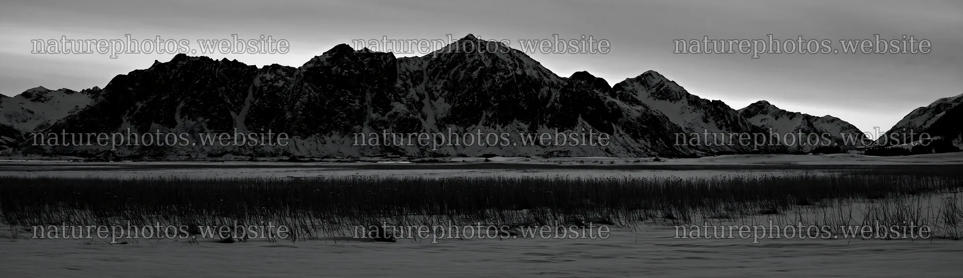 Lofoten coastal meadow winter snow captures mountains and fields – nature photos 14762x4268