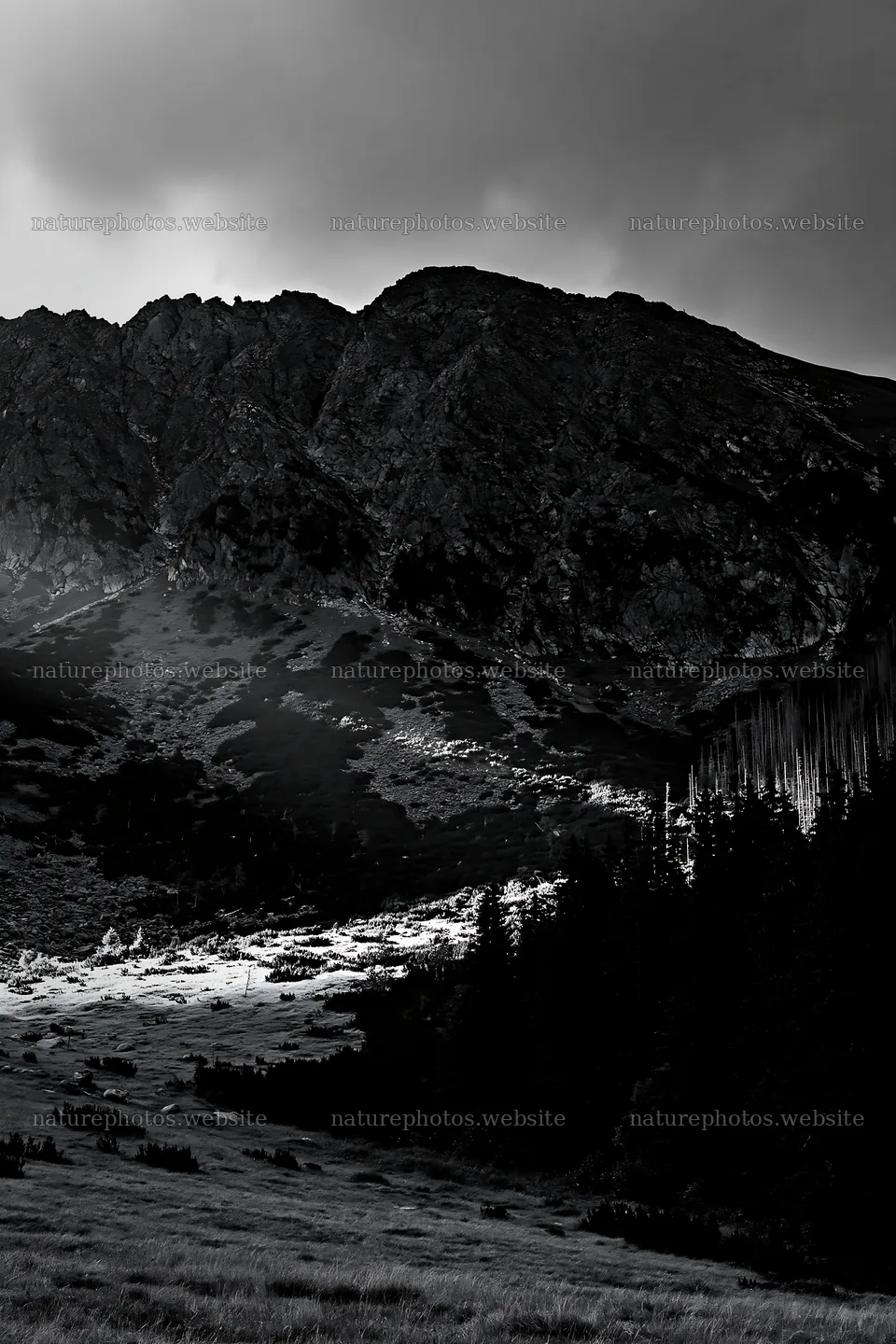 Meadow mountain sunrays illuminate a forested landscape – nature photos 6480x9722